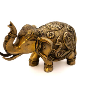 ELEFANTE