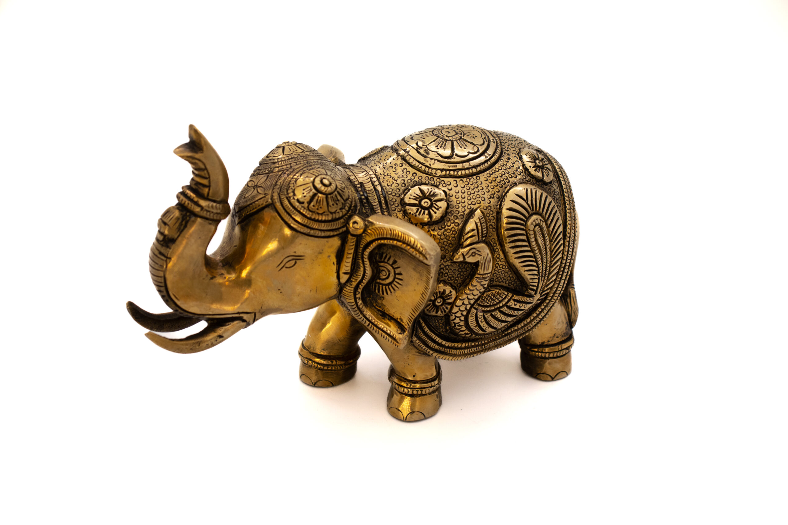 ELEFANTE