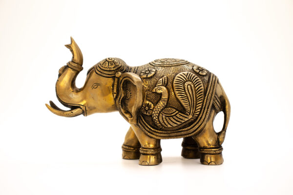 ELEFANTE 2