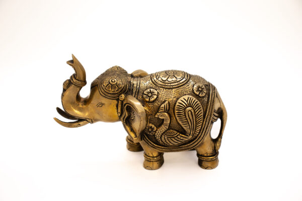 ELEFANTE 3
