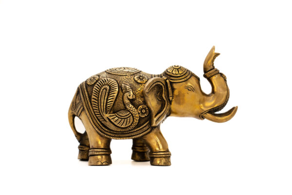 ELEFANTE 4